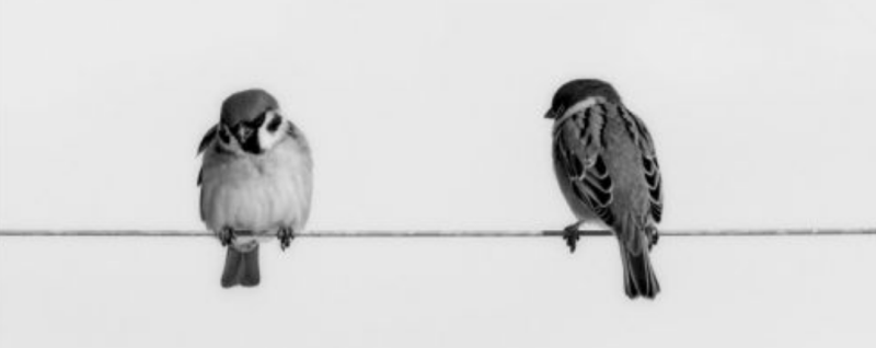 Снимок экрана 2026-04-23 в 23.54.49